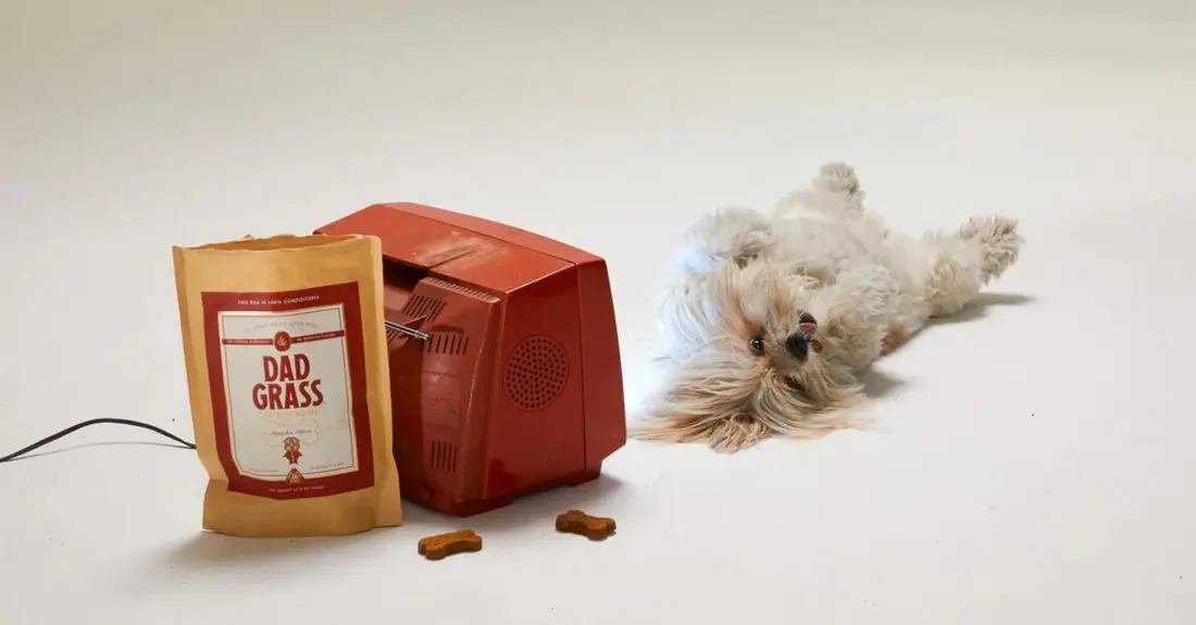 Adorable dog lying on back with dog treats and a retro TV on a white background.