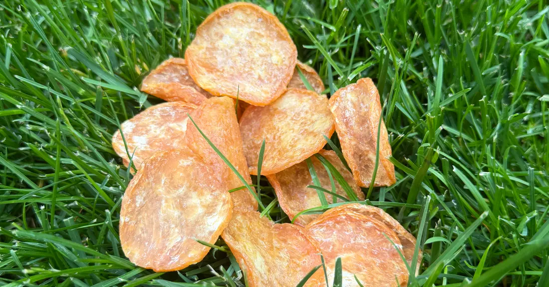 Single-ingredient chicken chips on the grass